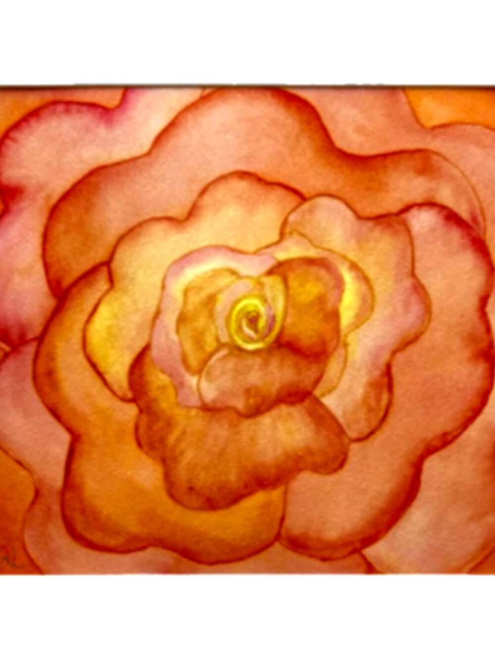 Painting Watercolor Flower Rose Coral Orange Pink 11x14 & Mat 16x20 Original Art